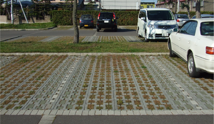 スーパーグリーン 詳細
